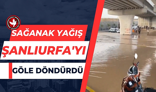 Sağanak Yağış Şanlıurfa'yı Göle  Döndürdü