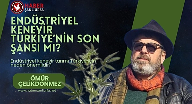 Endüstriyel Kenevir Türkiye'nin son şansı mı?