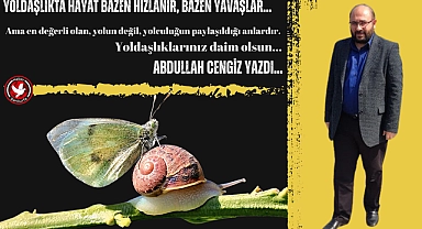Yoldaşlıkta Hayatın Tempo Değişkenliği.